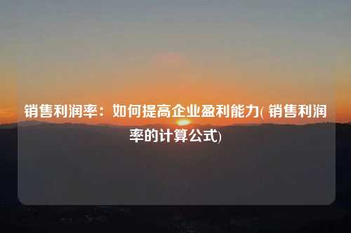 銷售利潤率：如何提高企業盈利能力( 銷售利潤率的計算公式)