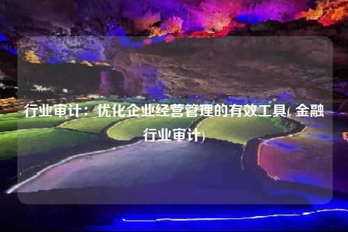 行業審計：優化企業經營管理的有效工具( 金融行業審計)