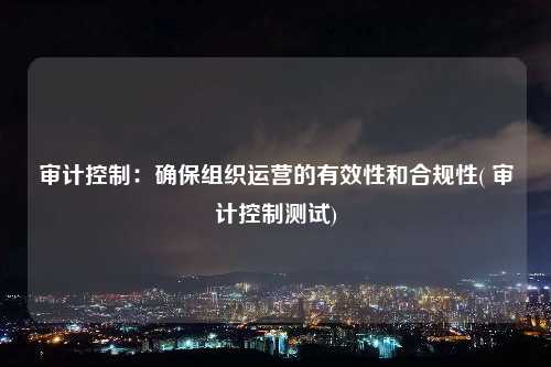 審計控制：確保組織運營的有效性和合規性( 審計控制測試)
